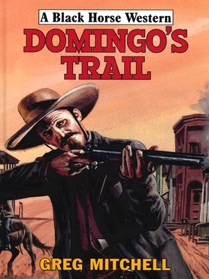 cover image of Domingo's Trail